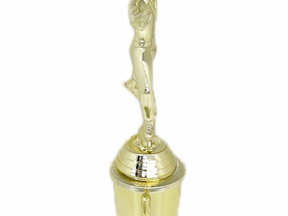 Ice Skater Male Trophy 305mm