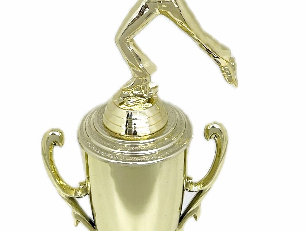 Ice Skater Male Trophy 340mm