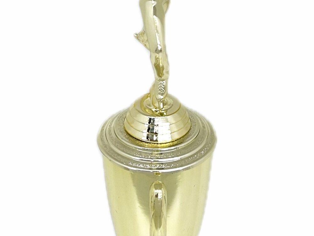 Ice Skater Male Trophy 340mm