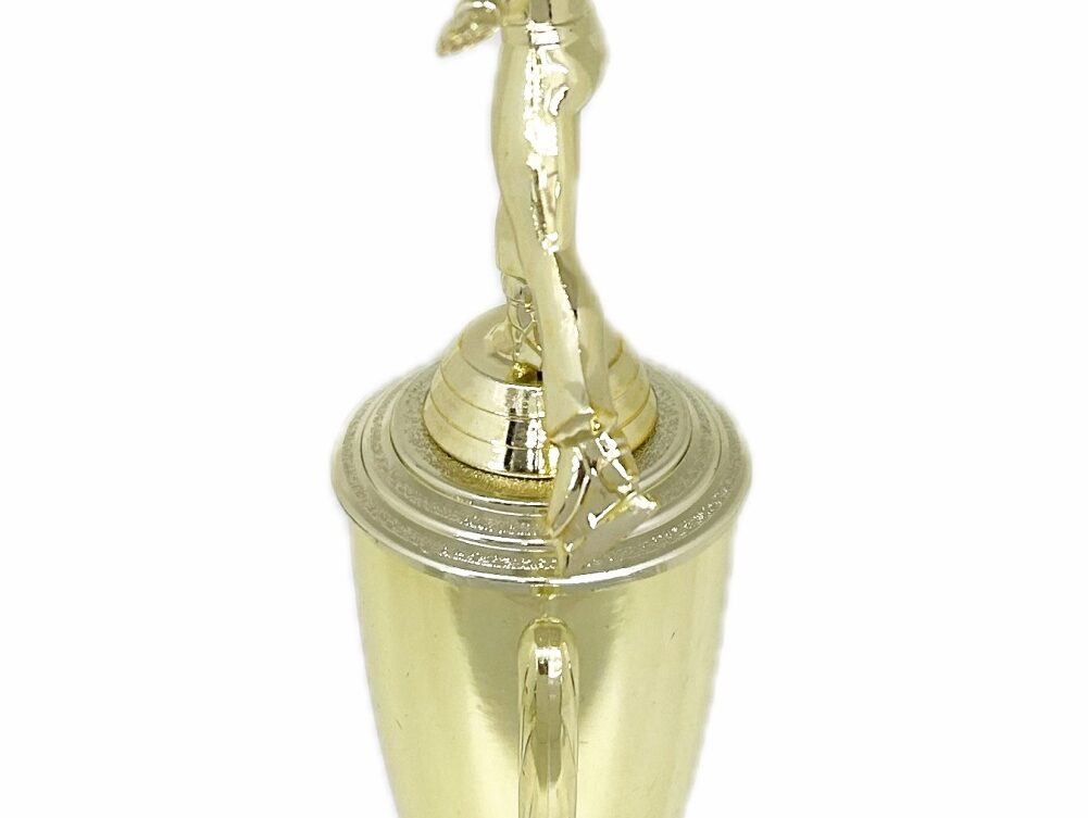Ice Skater Male Trophy 340mm