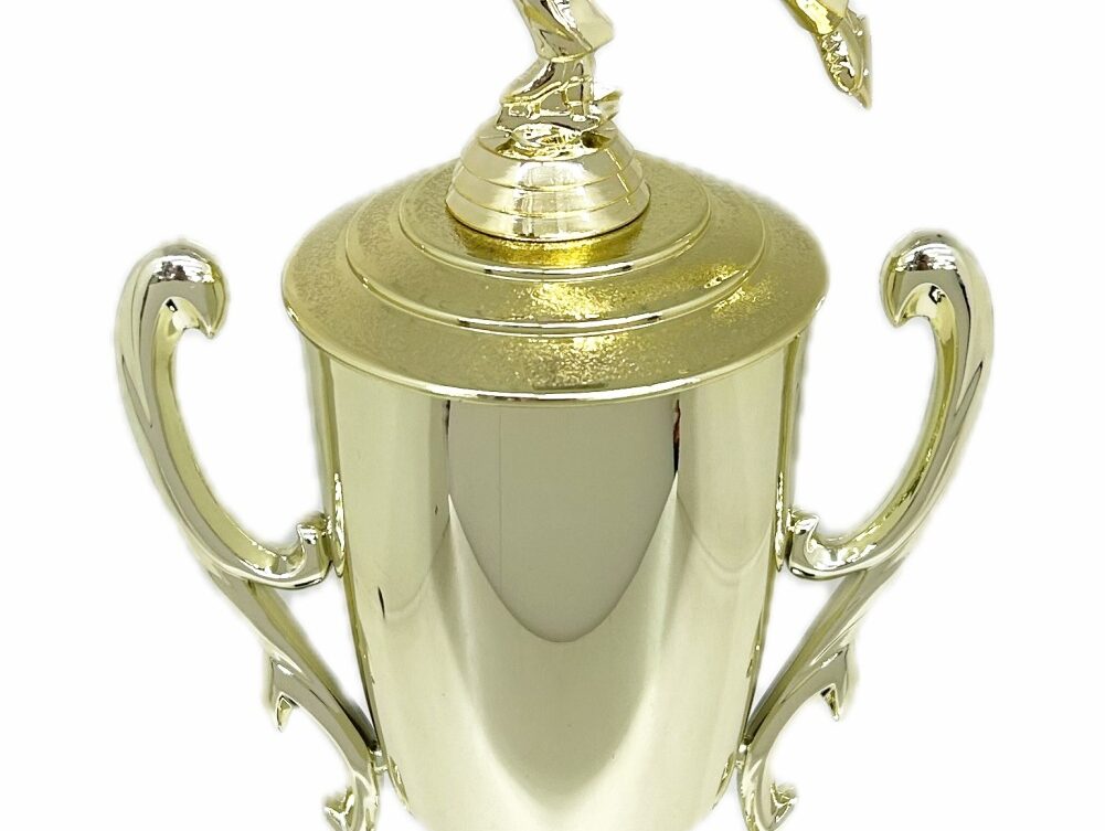 Ice Skater Male Trophy 380mm