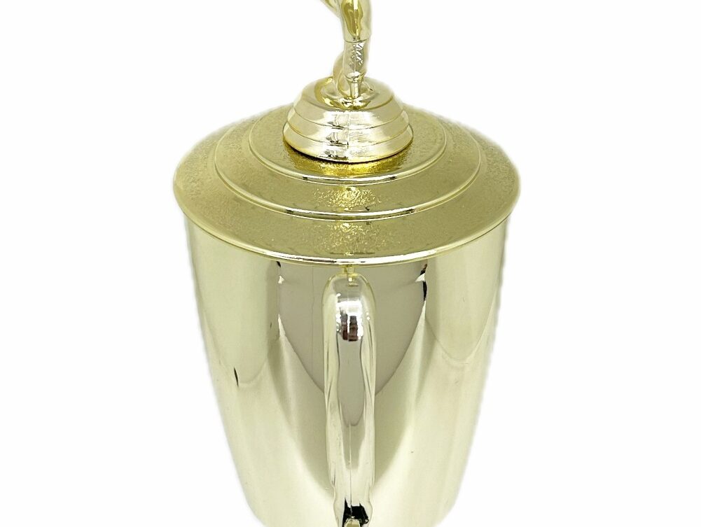 Ice Skater Male Trophy 380mm