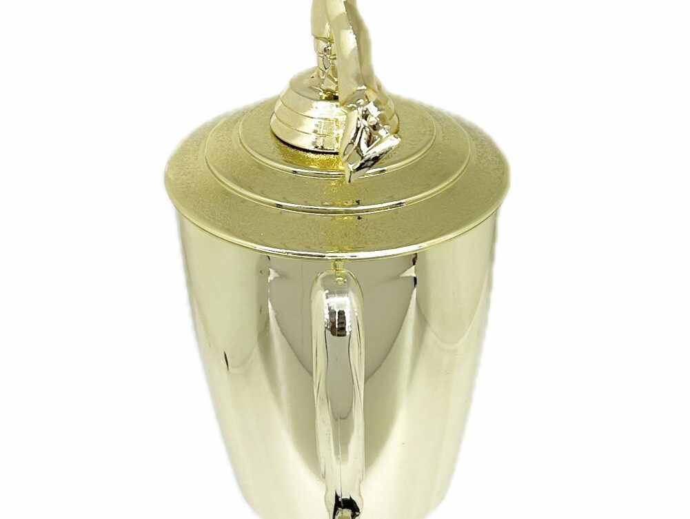 Ice Skater Male Trophy 380mm
