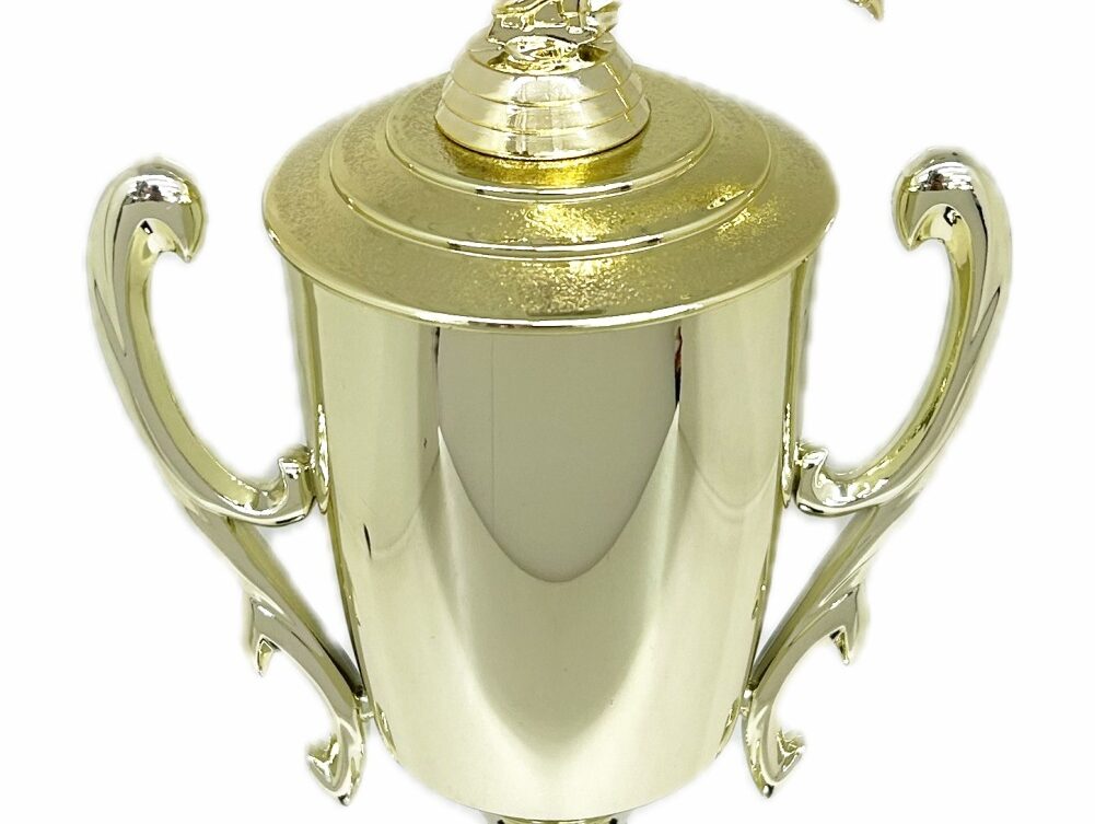 Ice Skater Male Trophy 420mm