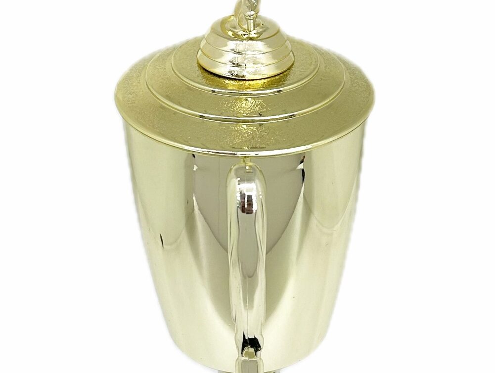 Ice Skater Male Trophy 420mm