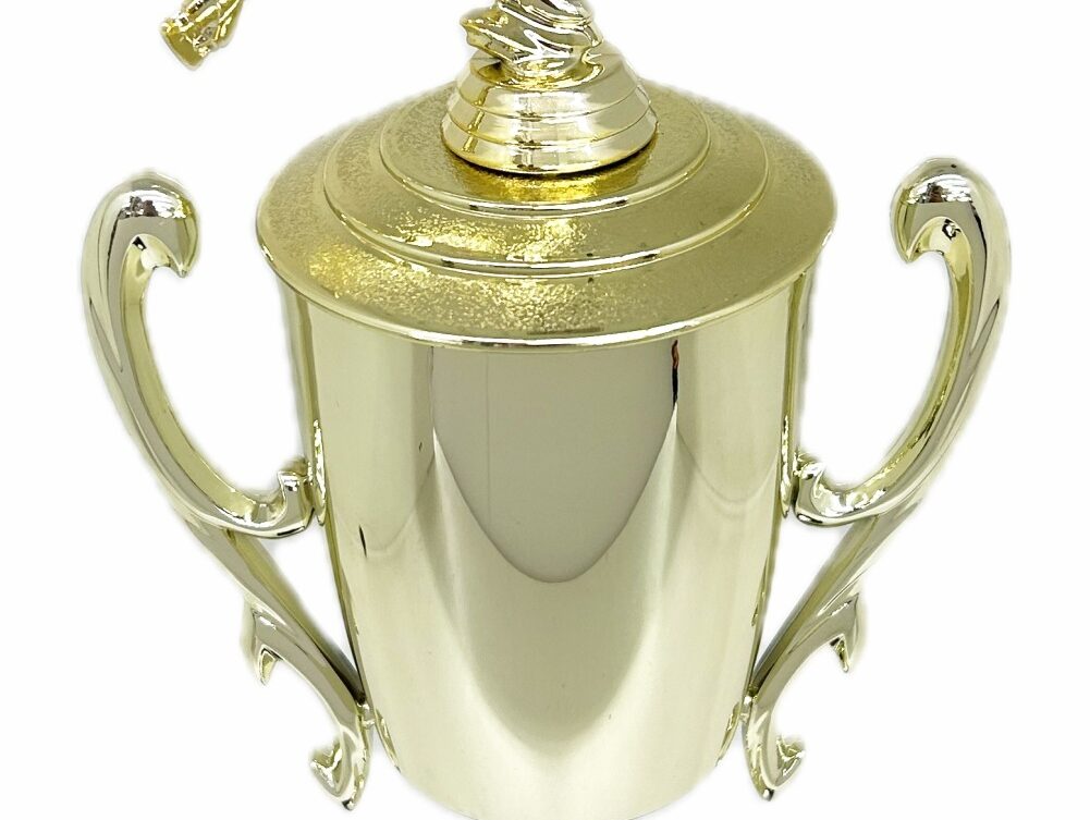 Ice Skater Male Trophy 420mm