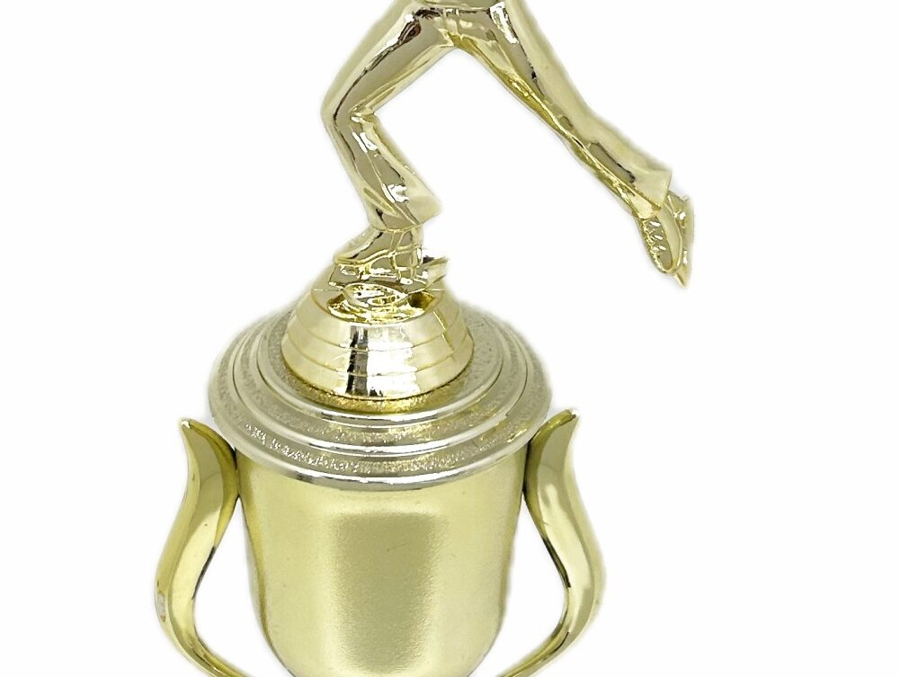 Ice Skater Male Trophy 340mm
