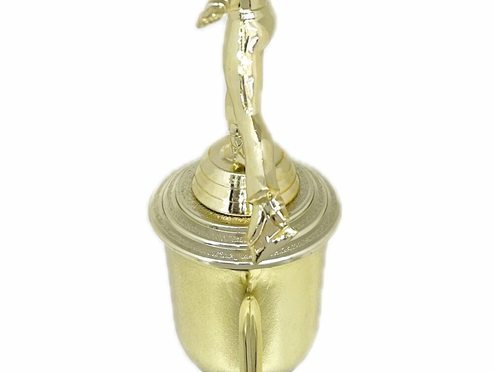Ice Skater Male Trophy 340mm