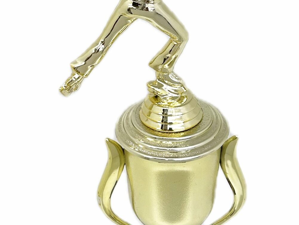 Ice Skater Male Trophy 340mm