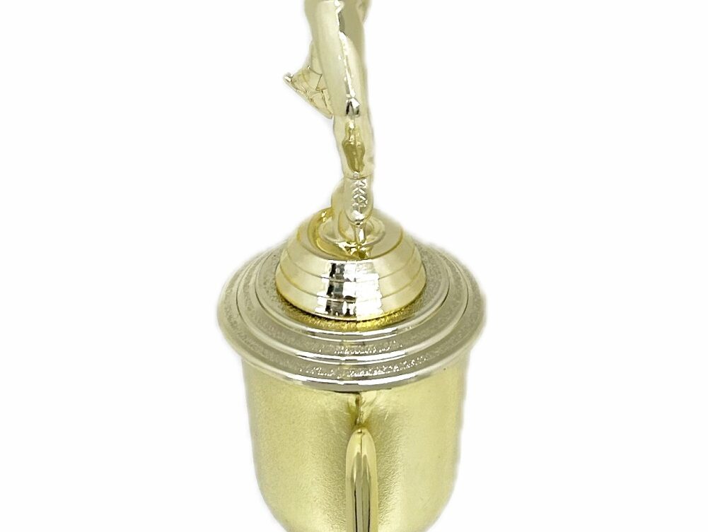 Ice Skater Male Trophy 340mm