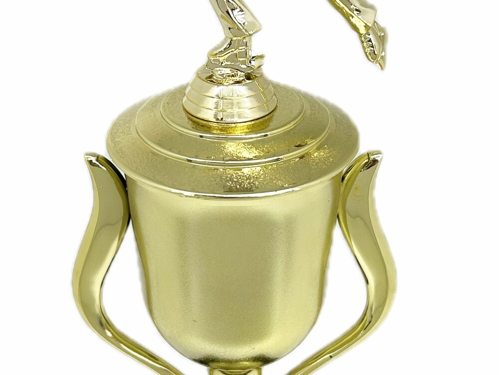 Ice Skater Male Trophy 380mm