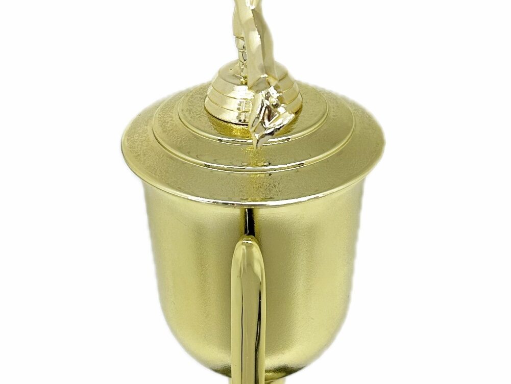 Ice Skater Male Trophy 380mm