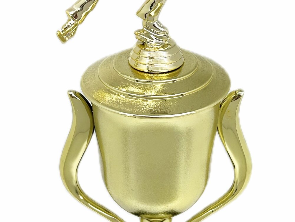 Ice Skater Male Trophy 380mm