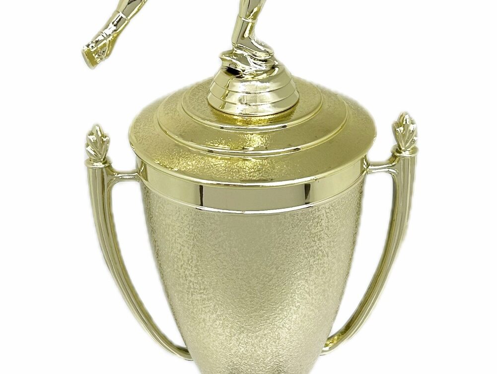Ice Skater Female Trophy 380mm
