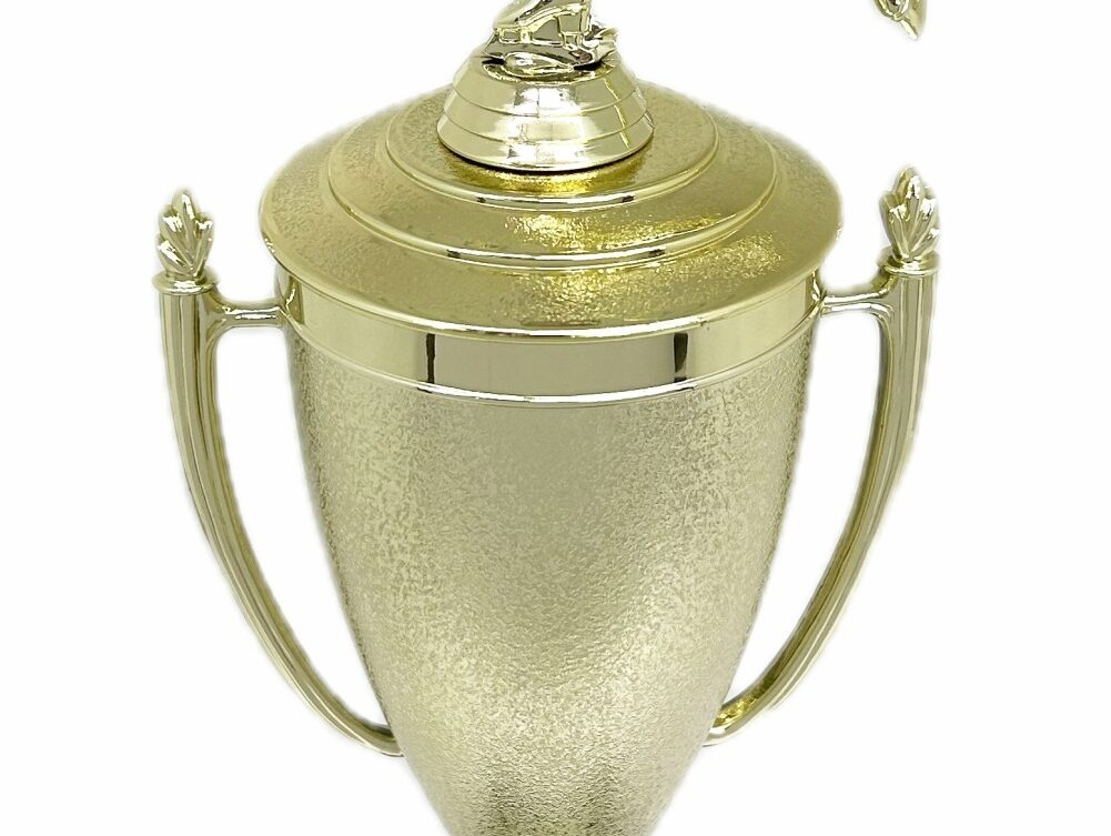Ice Skater Female Trophy 420mm