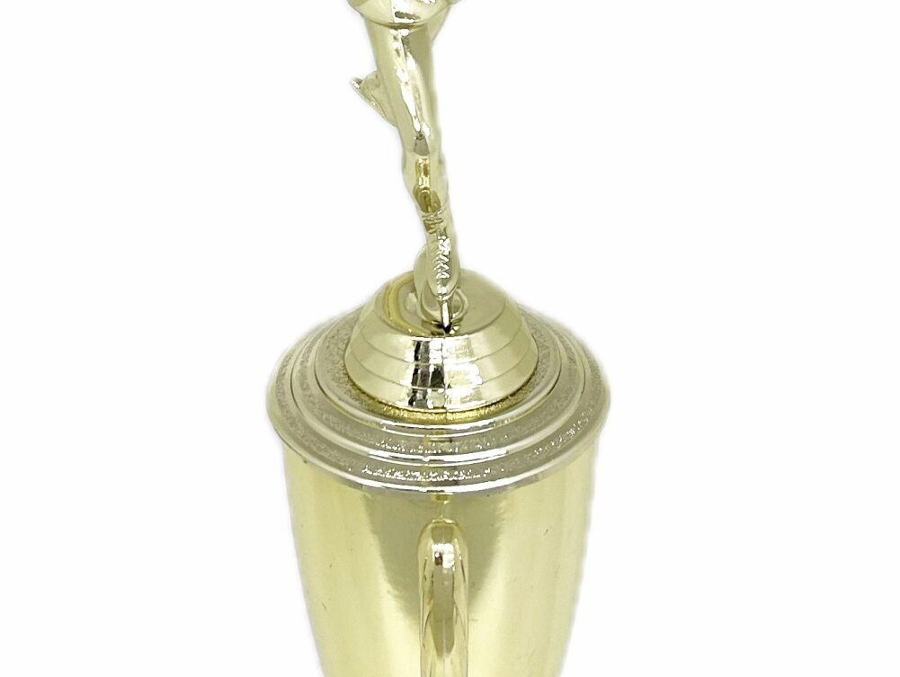 Ice Skater Female Trophy 340mm