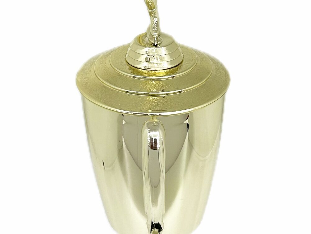 Ice Skater Female Trophy 380mm