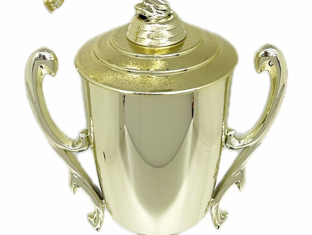 Ice Skater Female Trophy 420mm
