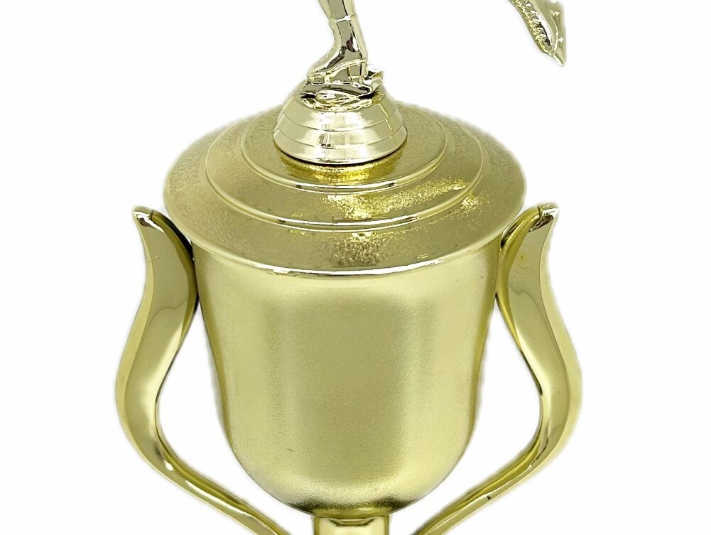 Ice Skater Female Trophy 380mm