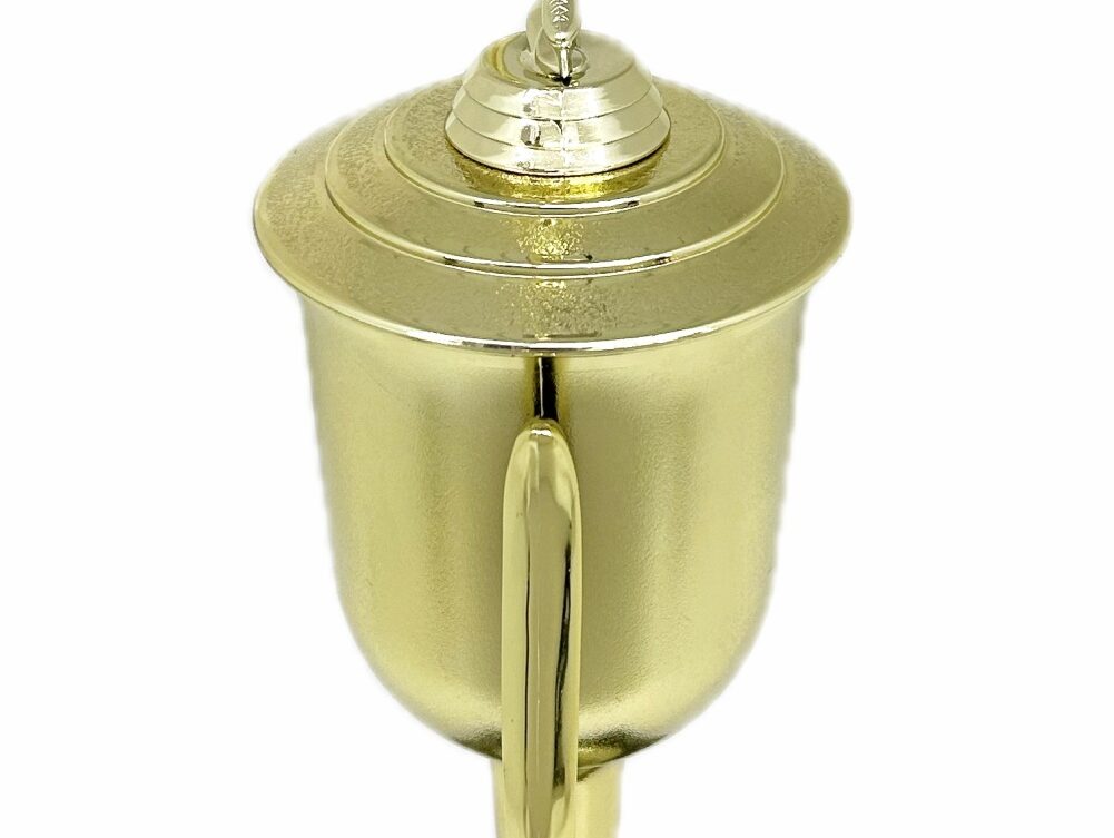 Ice Skater Female Trophy 420mm