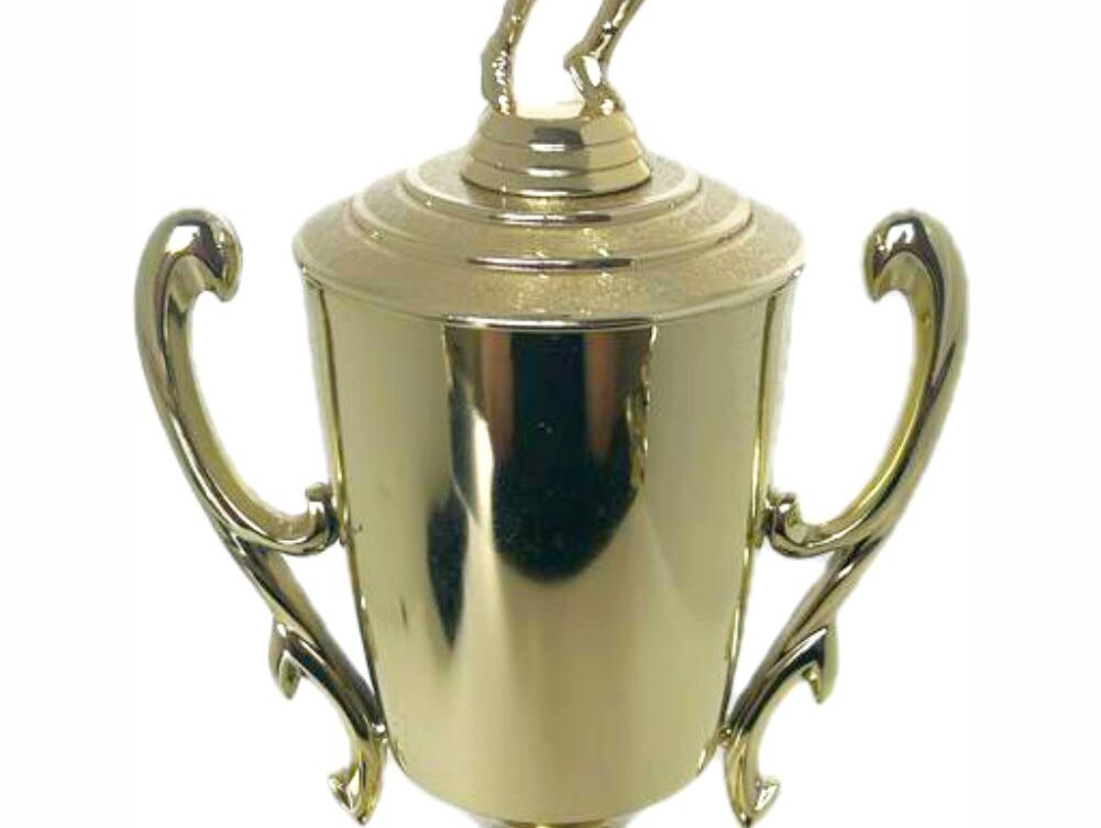 Tennis Male Trophy 420mm