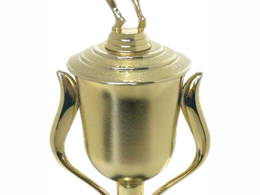 Tennis Male Trophy 420mm