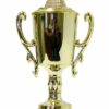 Cycling Female Trophy 285mm