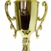 Cycling Female Trophy 325mm