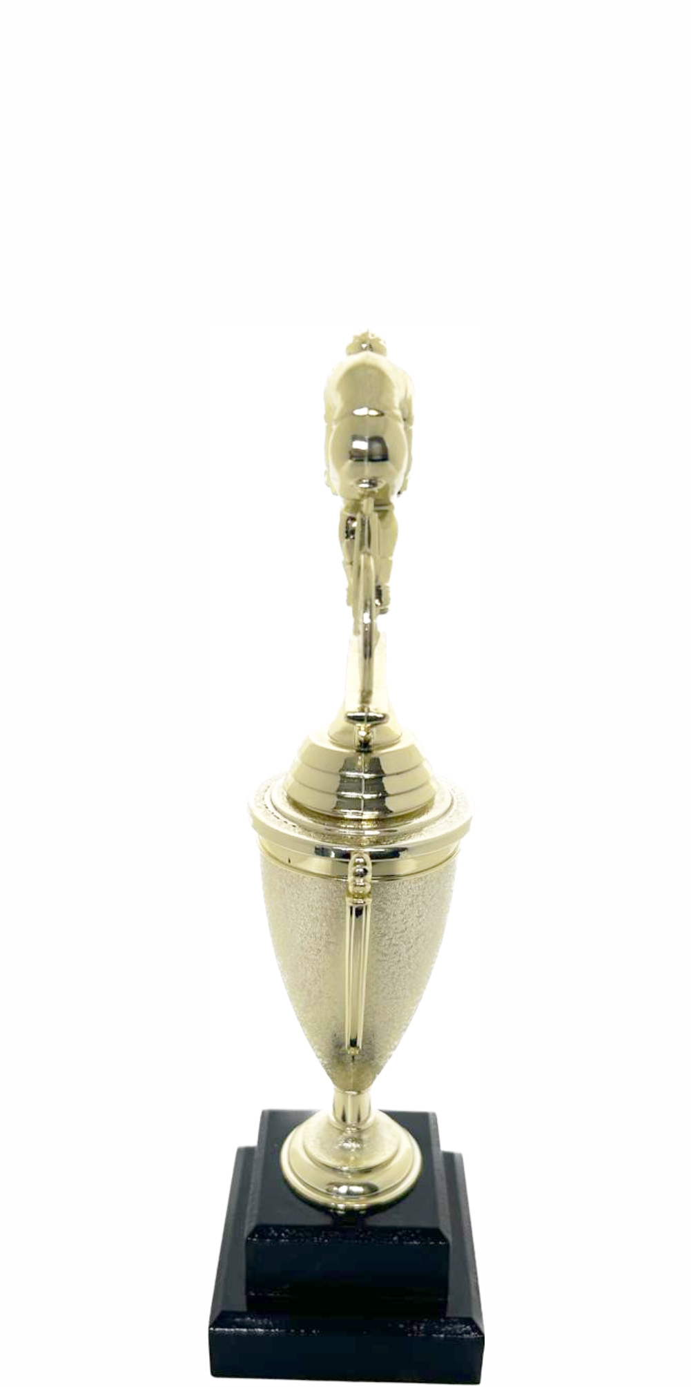 Cycling Male Trophy 250mm
