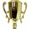 Cycling Male Trophy 325mm