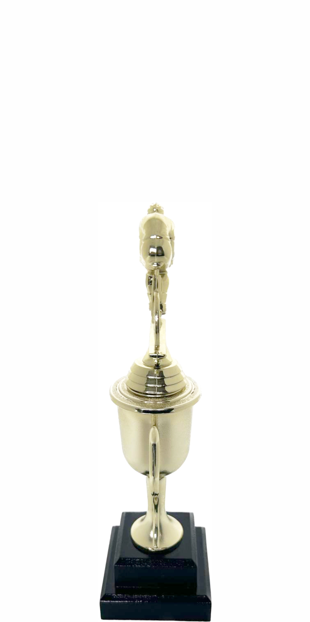 Cycling Male Trophy 225mm