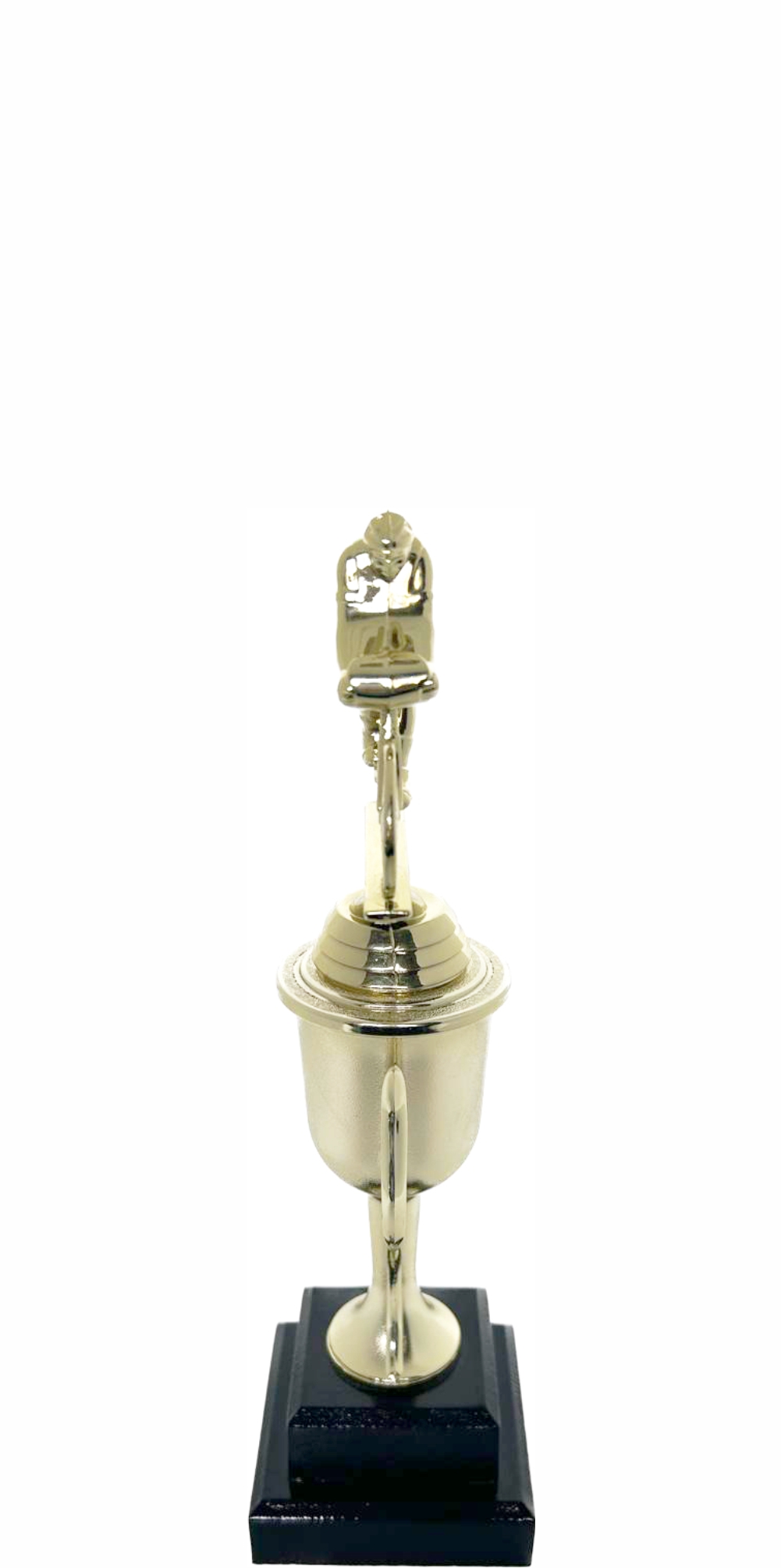 Cycling Male Trophy 225mm
