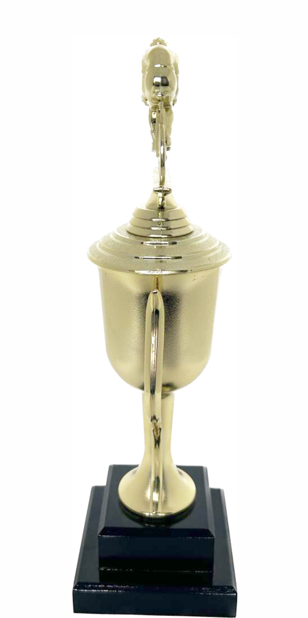 Cycling Male Trophy 325mm