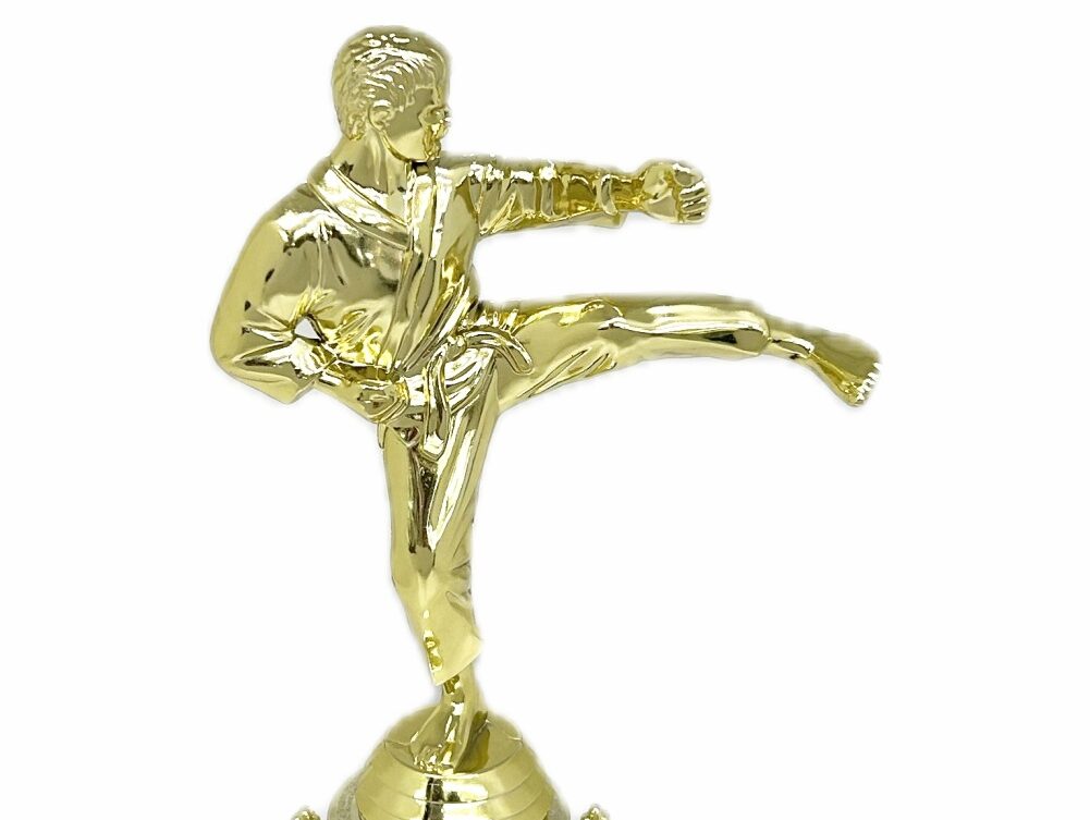 Karate Male Trophy 290mm
