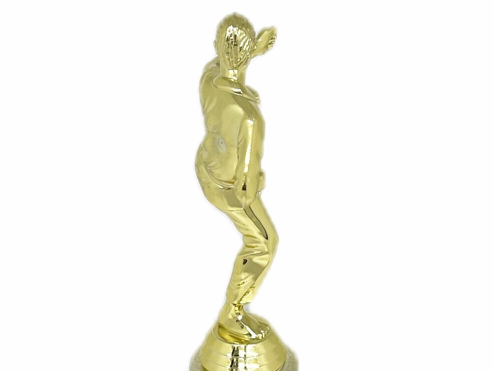 Karate Male Trophy 290mm