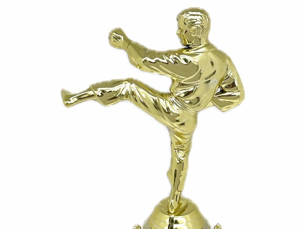 Karate Male Trophy 290mm