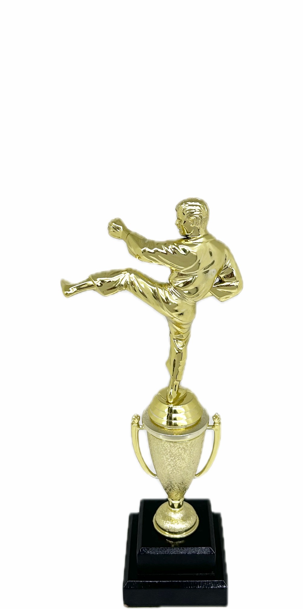 Karate Male Trophy 290mm