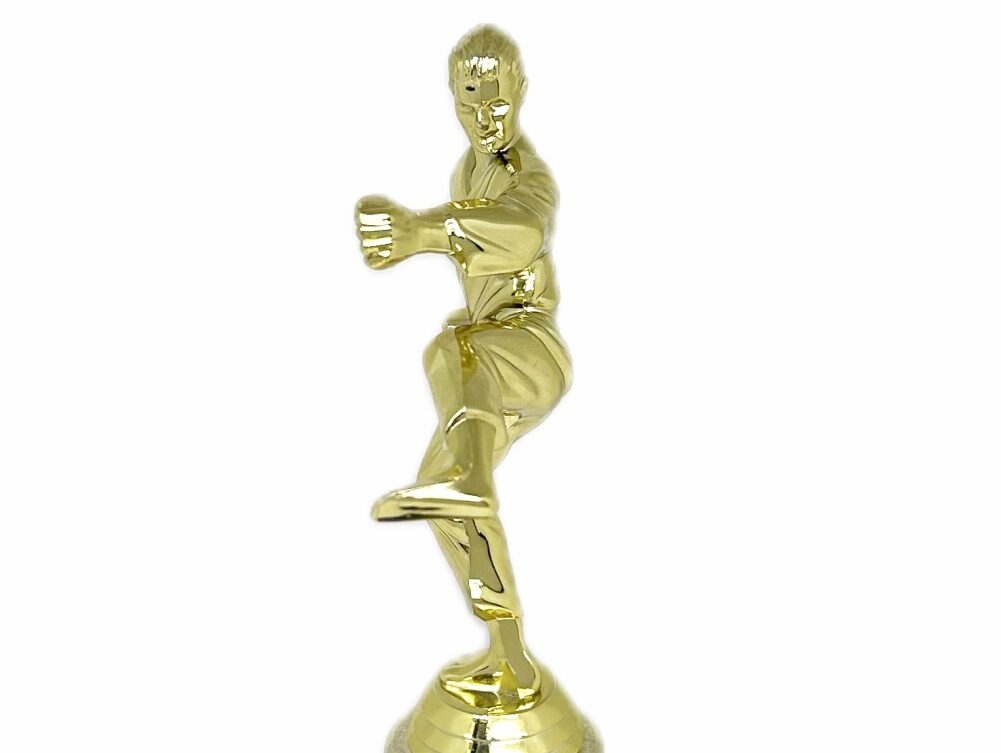 Karate Male Trophy 290mm