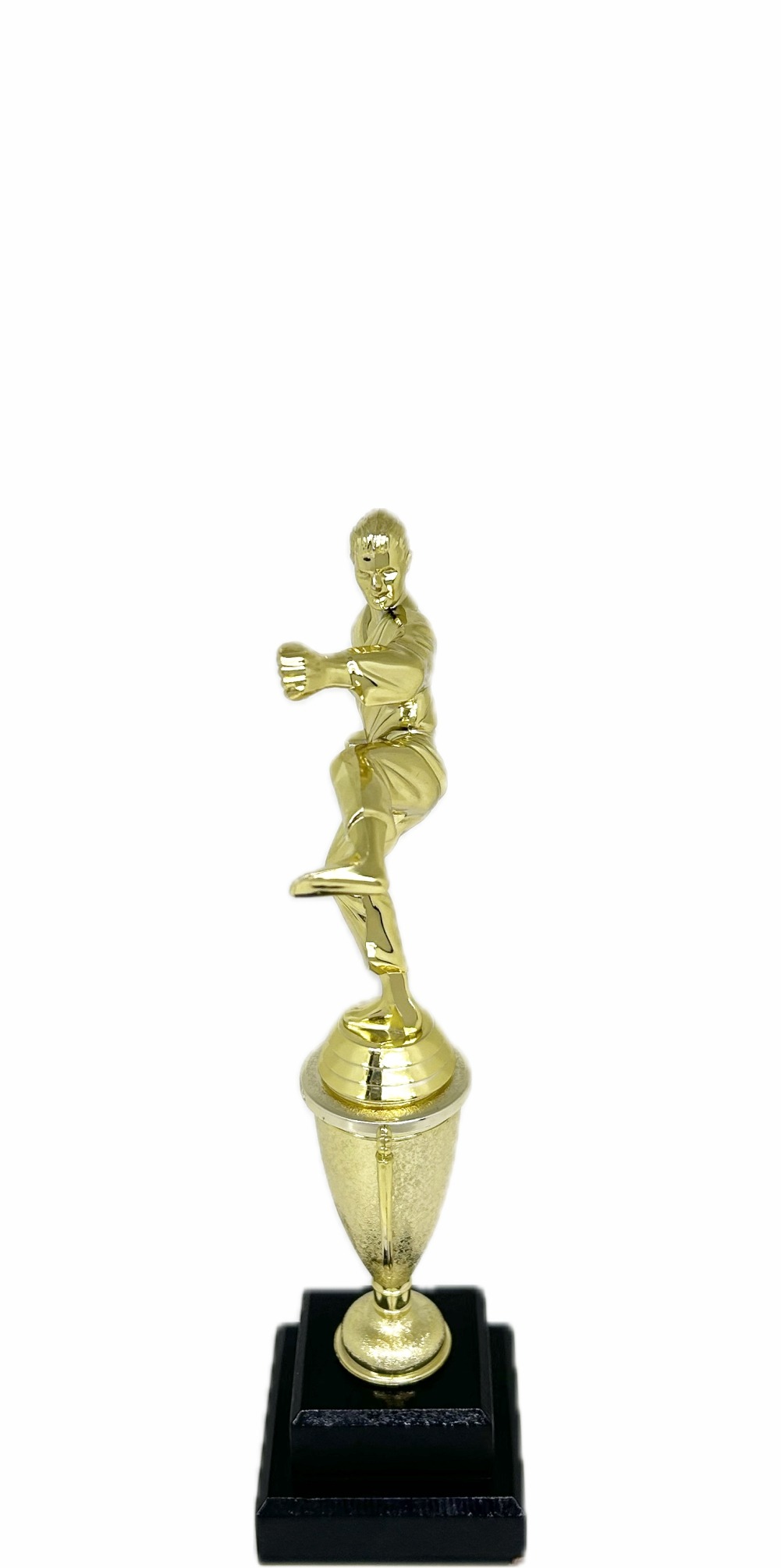 Karate Male Trophy 290mm