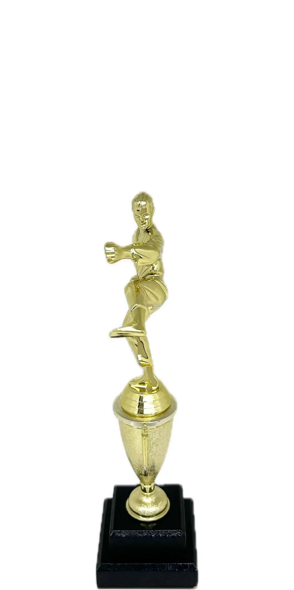 Karate Male Trophy 290mm