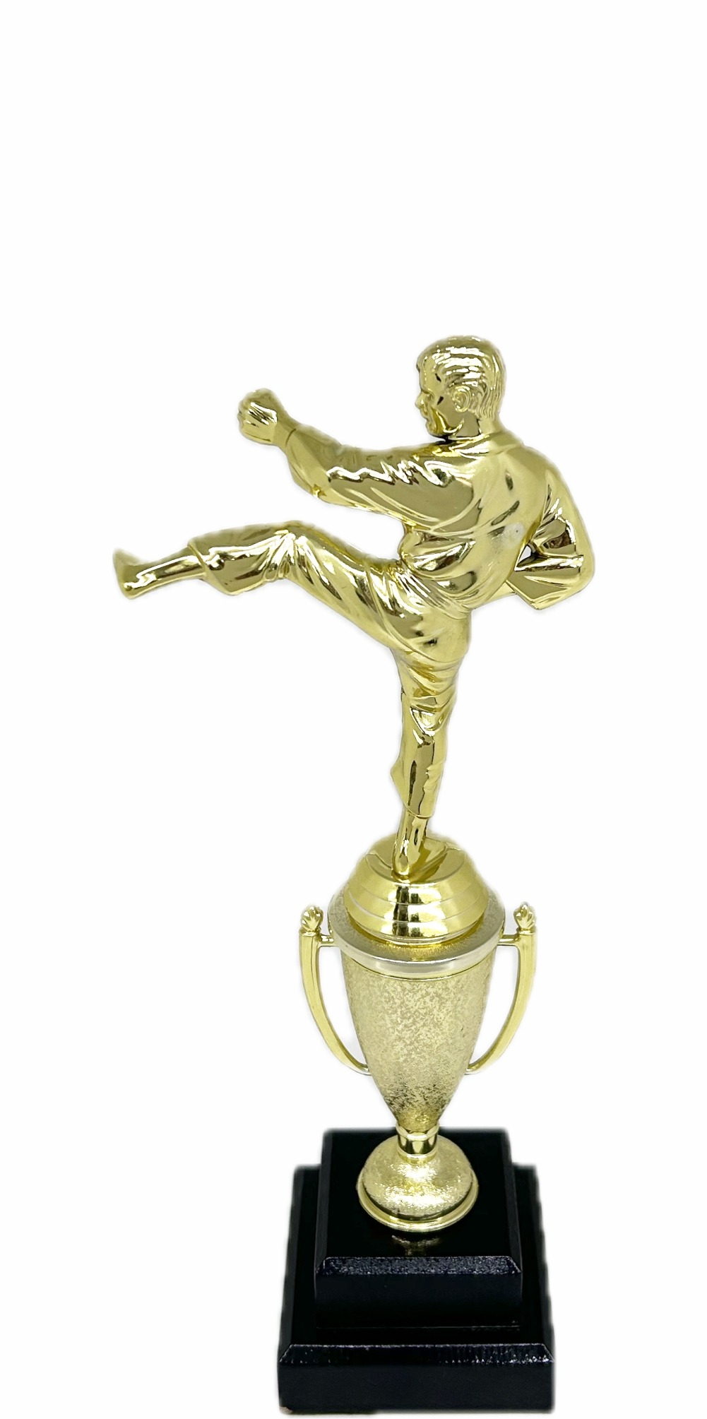 Karate Male Trophy 310mm