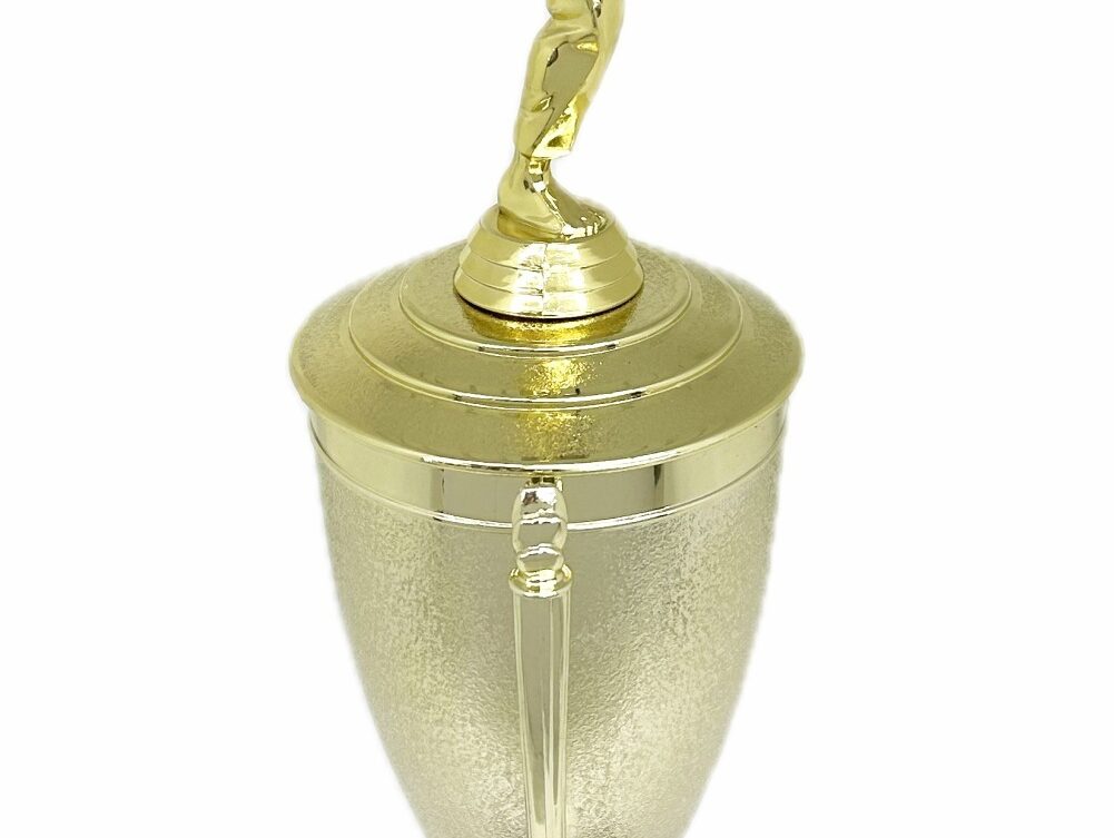 Karate Male Trophy 390mm