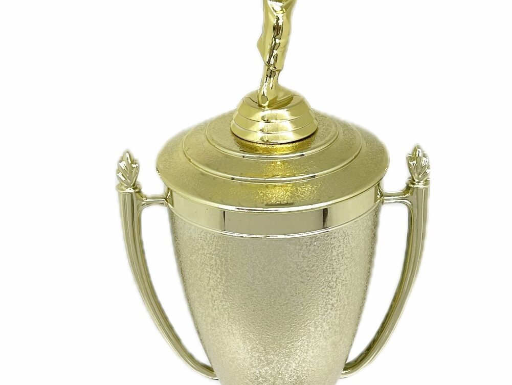Karate Male Trophy 390mm