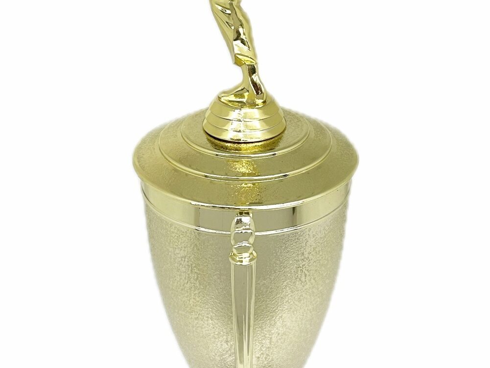 Karate Male Trophy 390mm