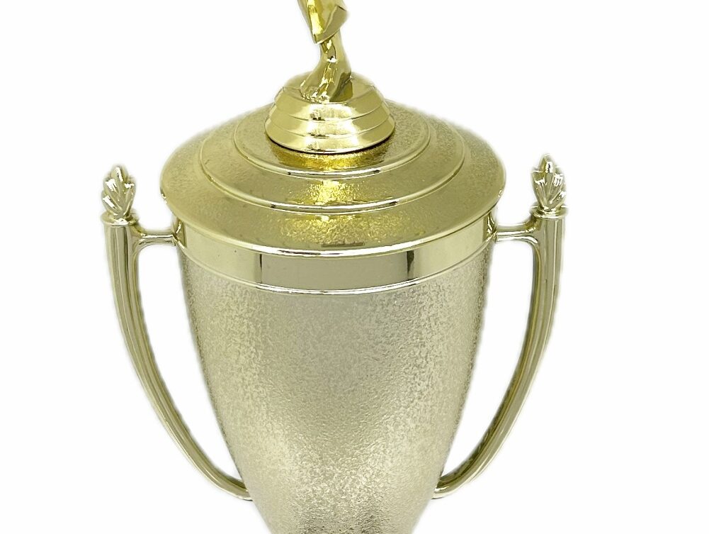 Karate Male Trophy 420mm