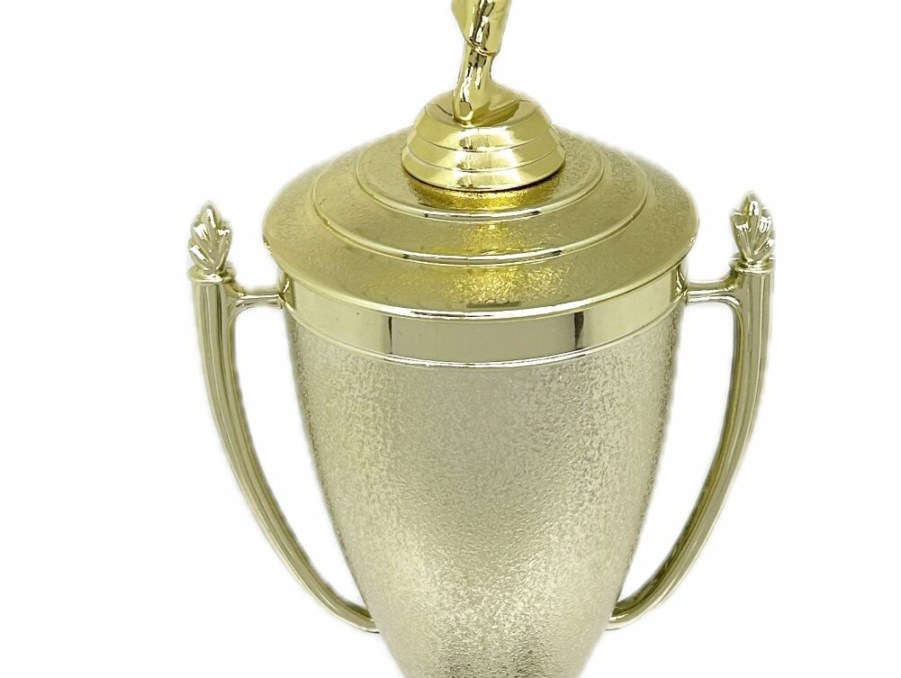 Karate Male Trophy 420mm