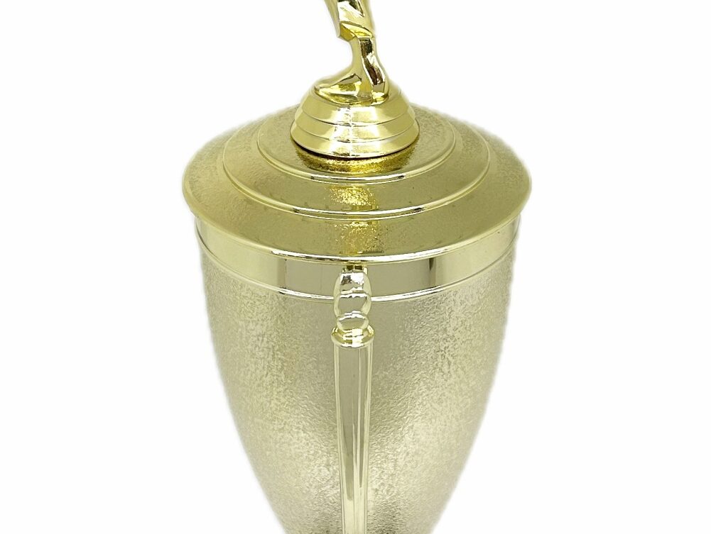 Karate Male Trophy 420mm