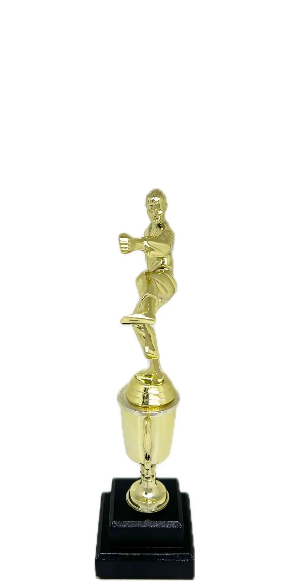 Karate Male Trophy 290mm