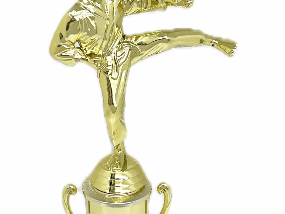Karate Male Trophy 310mm