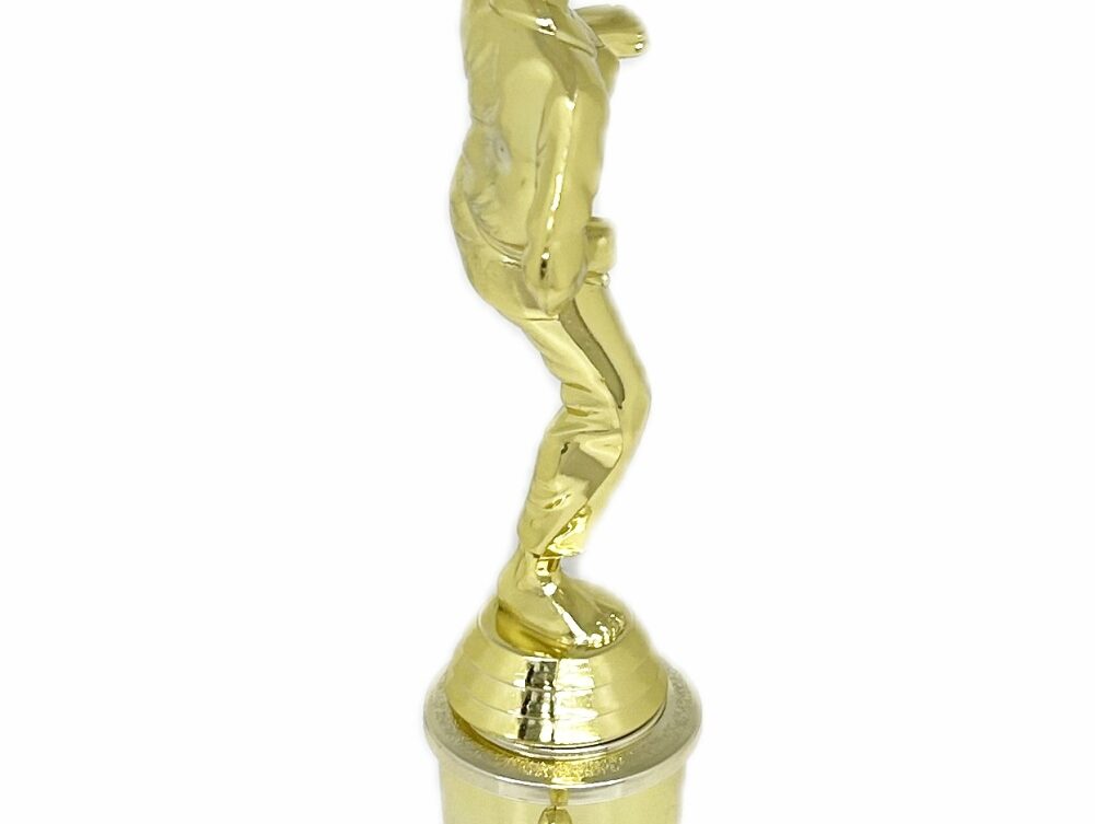 Karate Male Trophy 310mm